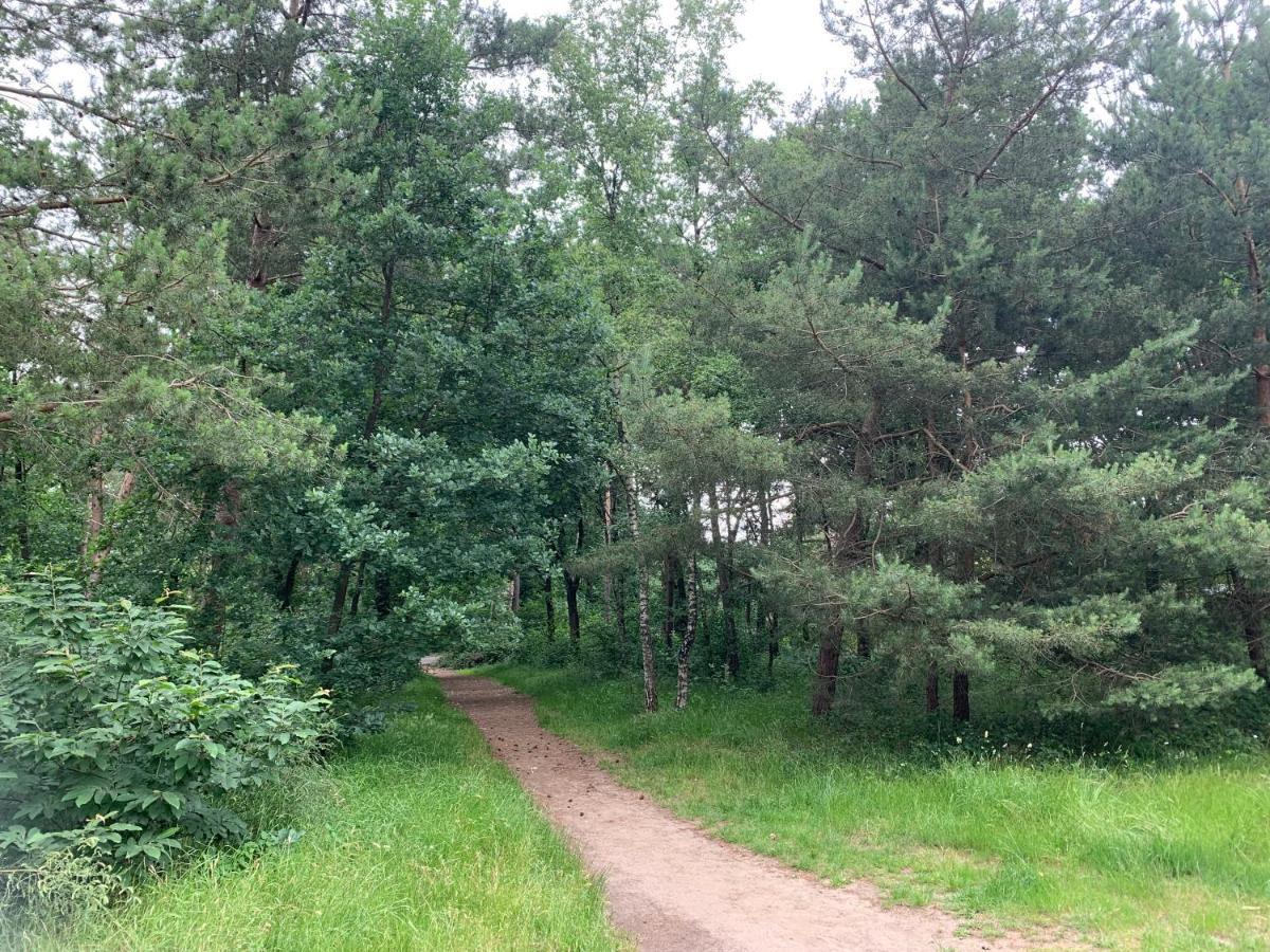 Chalet Moderna Putten Eksteriør billede